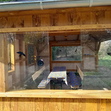 Spending A Splendid, Natural Time At A Mansion 3*