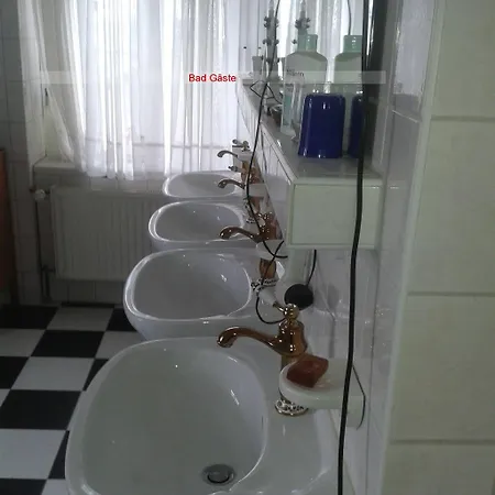 Spending A Splendid, Natural Time At A Mansion 3*